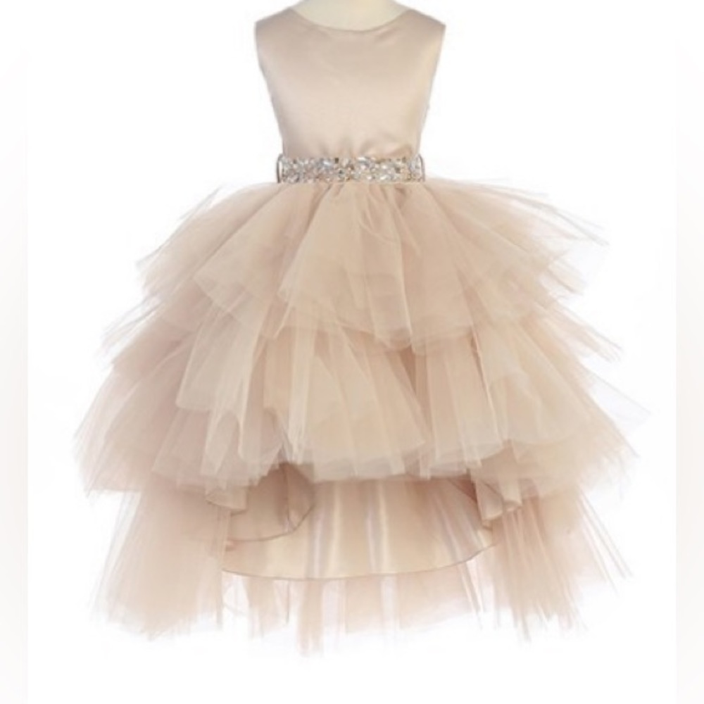 Girls Ivory Tulle High Low Dress 4T